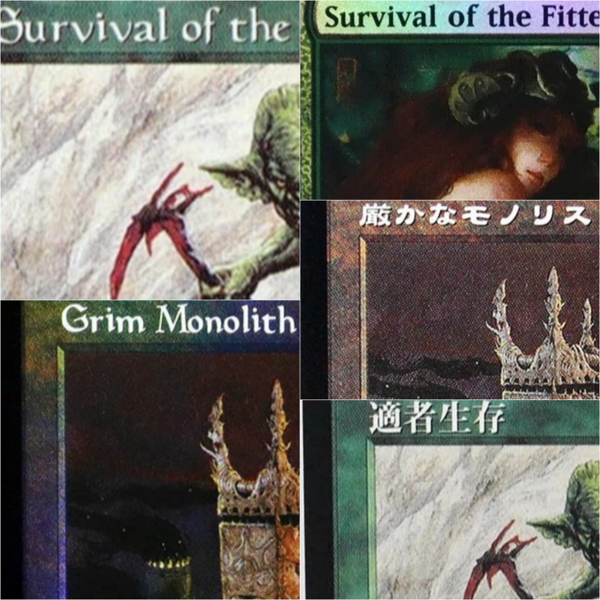 Board Game Survive The Island - Grim Monolith/Survival of the Fittest TCG